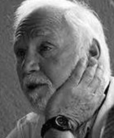 Robert M Young