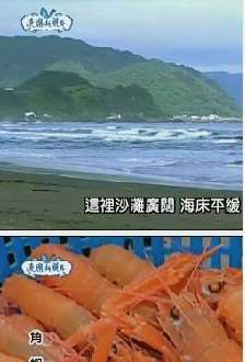 ӽ
