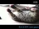 èè򲻹ͬ ˣװ!!!.wmv