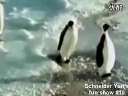 Ķ!˹ȪƭӽʾЩɾ