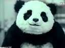 never say no to panda