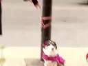 (轻松一笑)竟敢和我穿一样