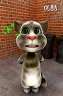 Talking Tom ·߼һǮ