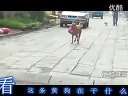 (拍客)看它在干什么