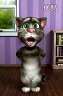 tom!!BBͳ!!!!ȸ