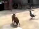 (搞笑)高手过招 就是与众不同