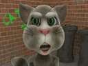 tomèعעҵ
