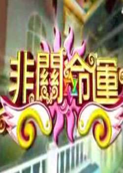 ǹ2013һ