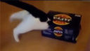ȷ!ȱЦ