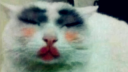 ʷɥĲŰè¼