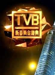 2013TVB´ƽ