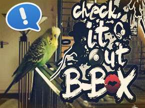 ǿB-boxɧ