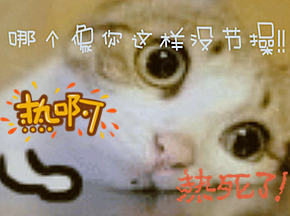 !ѧյٻ