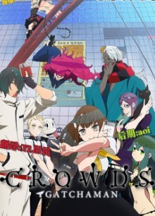 ѧ߶CROWDSȫ߹ۿ