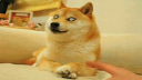 ЦһЦ!ļЦ̬ͼϮ