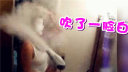 국!ܲˣ