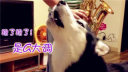 Ц!ȳҲ֡츳