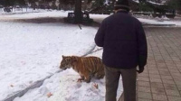 Ա԰ϻΧ