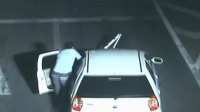 "醉萌"司机肇事后推车逃逸