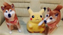 ȮƤ˺