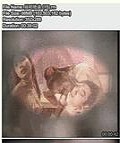 չ̸첥