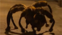 ֩·