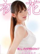 Ԫɽ㷬Ʒ