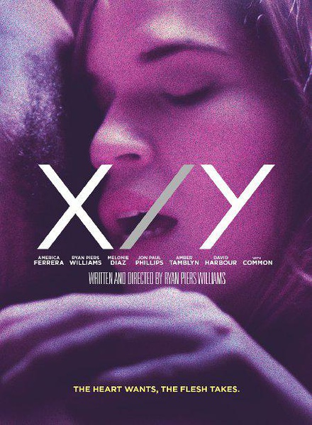 XY X/Y첥