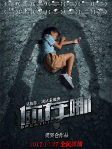 (2017)