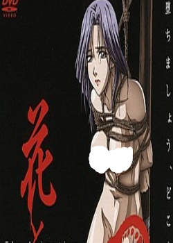  The Animation դʤԵ