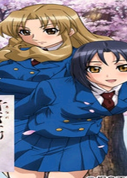 󷽤Ф 02ȫ߹ۿ