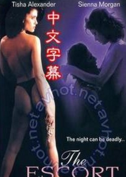 1997첥