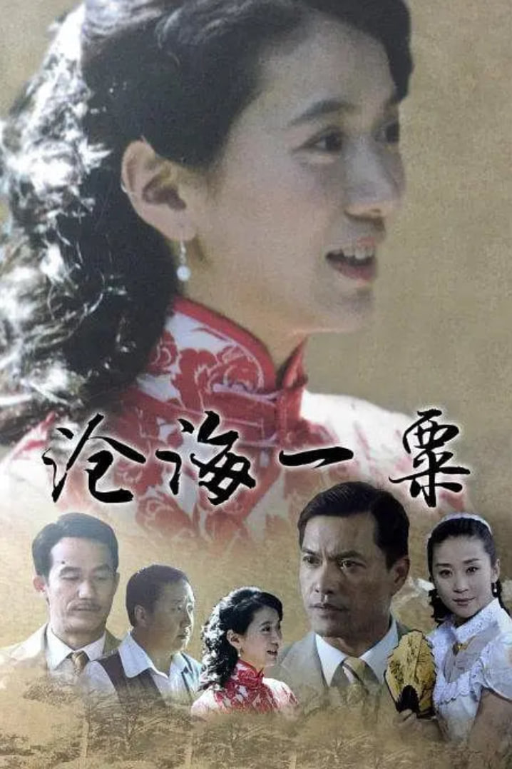 沧海一粟全集在线观看