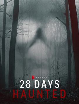 ֹʵ28