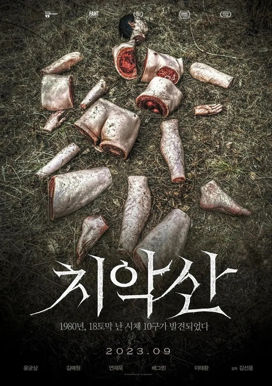 ɽ̸첥