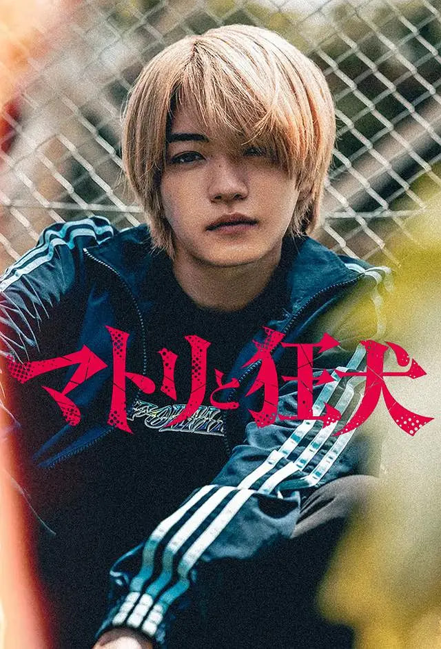 ���������Ȯȫ�����߹ۿ�