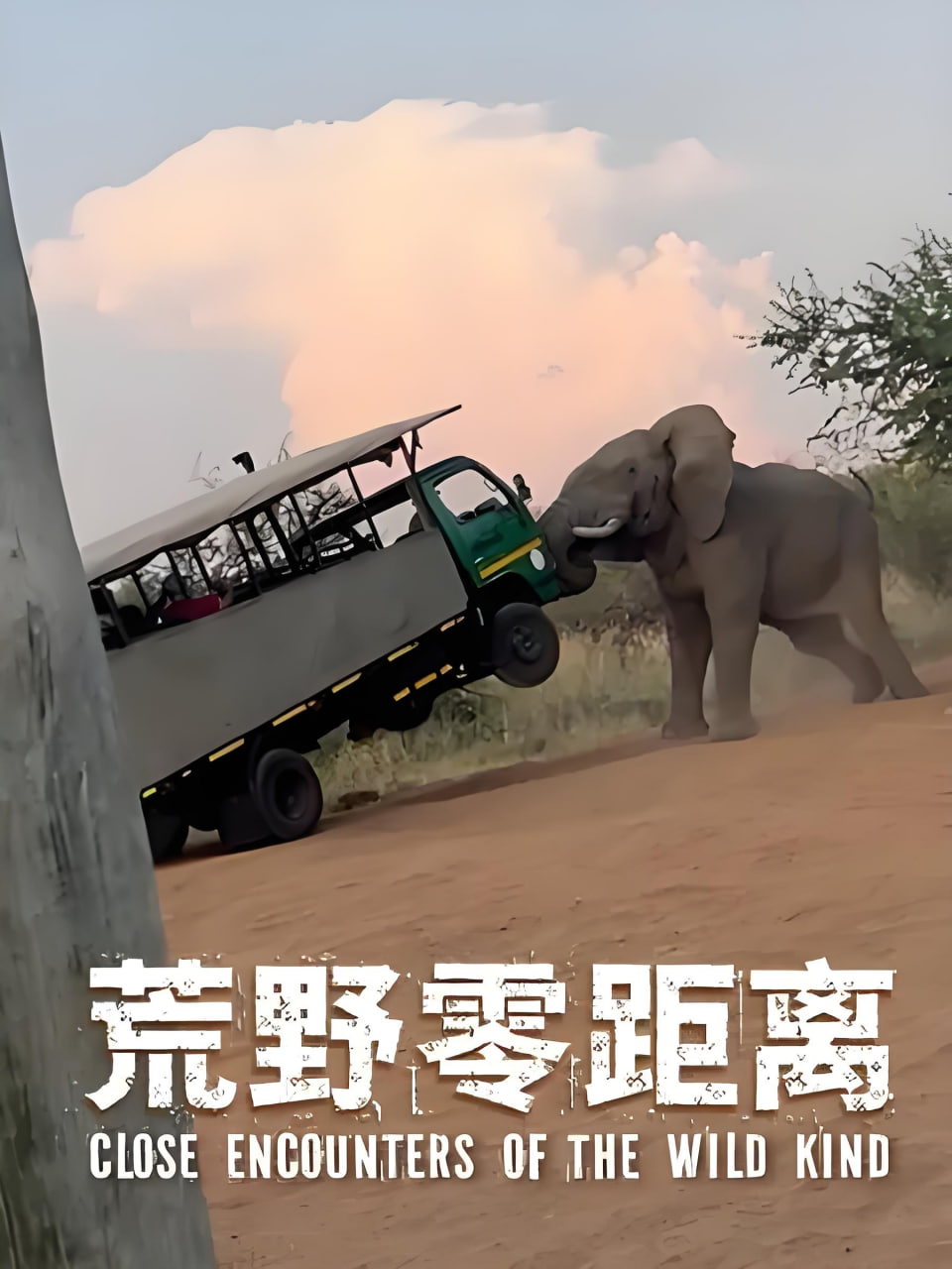 ��Ұ�����첥