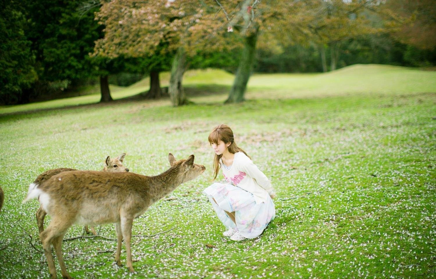 WRITE.AS ������ʦ����һ��